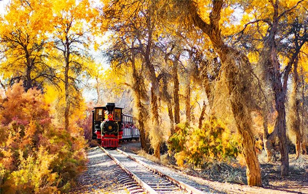 10/17【南疆金秋傳奇】12日自由行(CZ)輪台塔里木、刀郎部落胡楊林、喀什古城、卡拉庫里湖、盤龍古道、白沙湖三排座