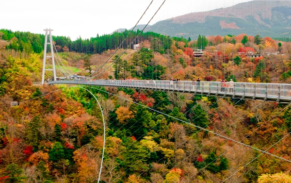 九州熊本紅葉楓旅×纜車遊船×三大蟹溫泉精選5日(JX)