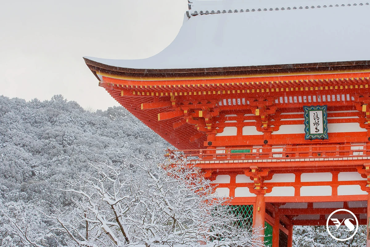 大阪三都巡禮+夢幻樹冰玩雪輕鬆休閒五日(VZ/D7)

