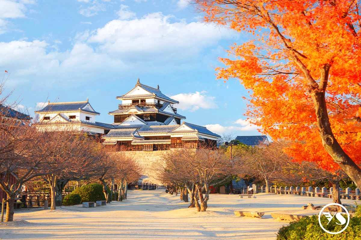 四國紅葉漫遊・道後溫泉×小豆島祕境米其林景點5日_台中出發(JX)
