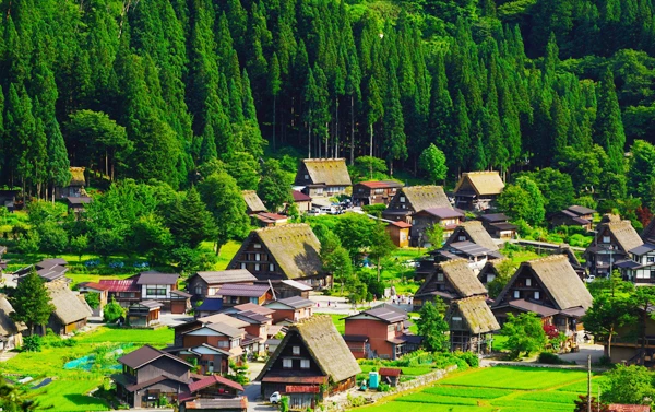 名古屋立山黑部雪牆x上高地秘境x合掌村採果趣五日(JX)