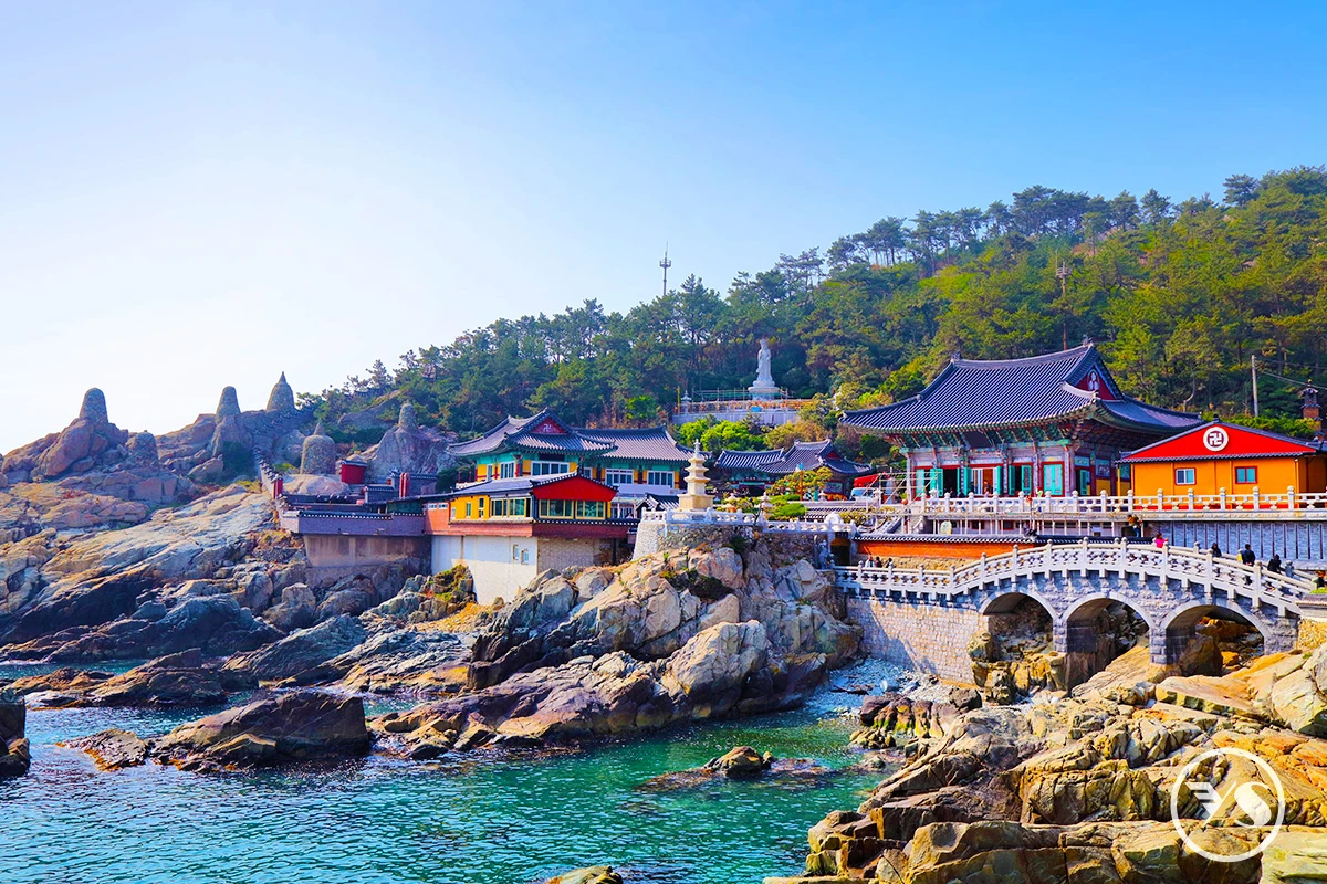 【長榮釜山漫旅】海景汗蒸幕.LUGE滑車.海岸列車.海東龍宮寺4日(不走人蔘保肝)