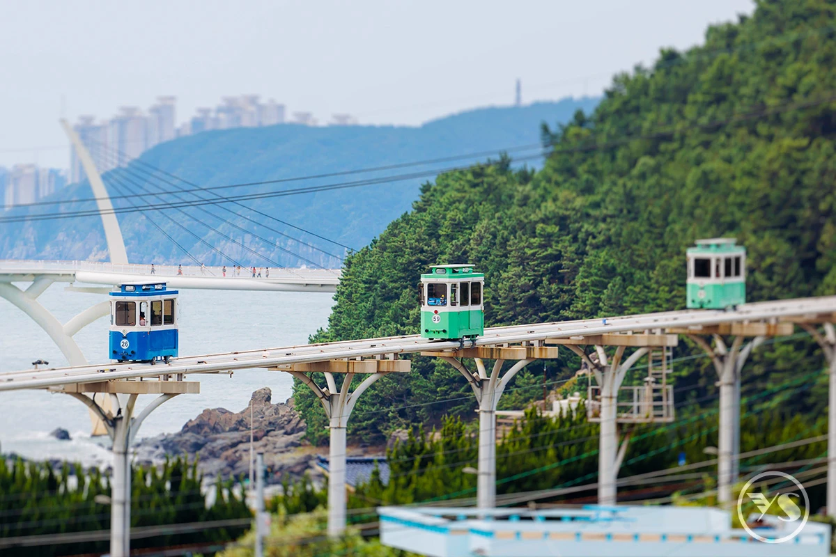 台中出發【玩瘋釜山】樂天世界.鐵路自由車.塗鴉秀.膠囊列車5日(不走人蔘保肝)