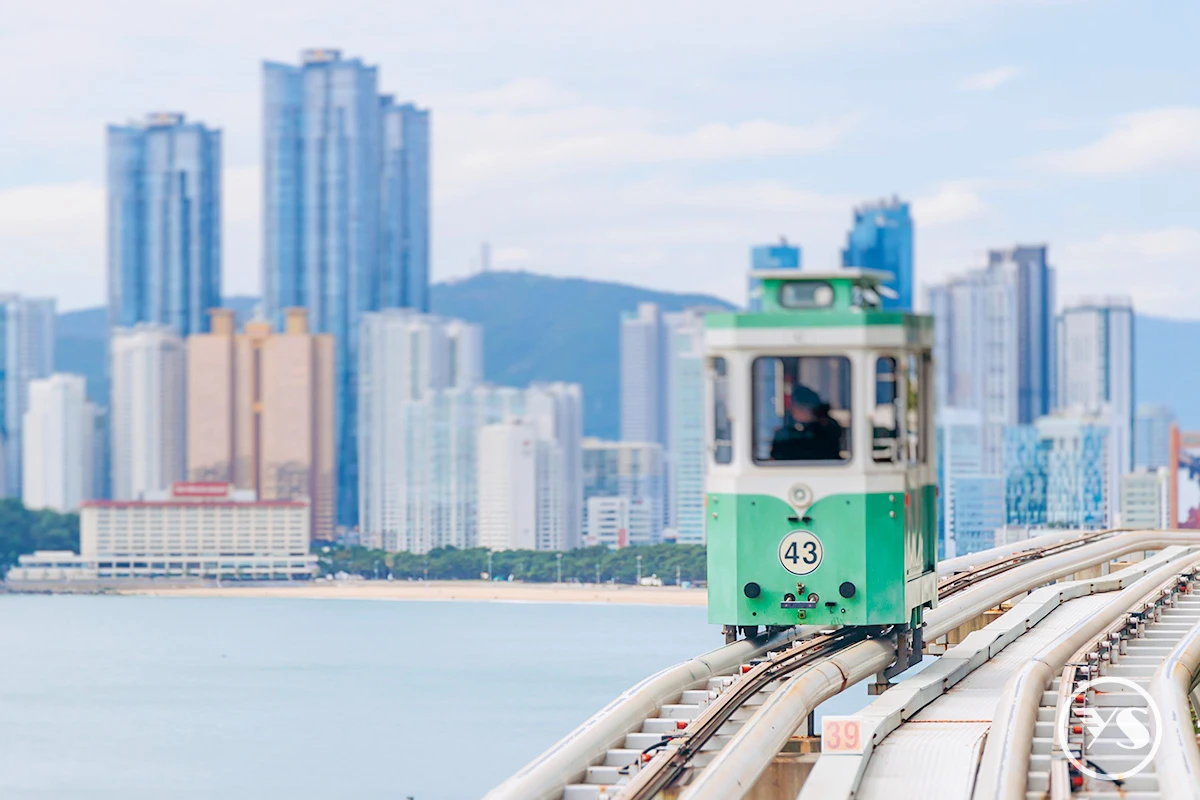 跟著年糕節去韓國~大邱年糕節.蔚山奇景.慶州古都.膠囊列車.LUGE滑車五日(不走人蔘保肝)