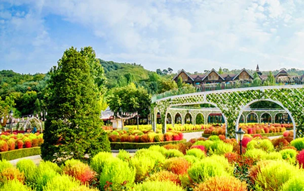 【童趣韓國】愛寶樂園.首爾塔.聖水洞.明洞飯店一晚四日(不走人蔘保肝)