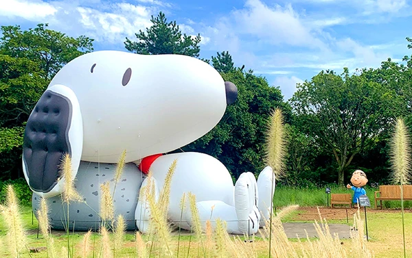 童趣濟州～牛島、史奴比樂園、亂打秀、藍鼎一晚、神話五日 (不走人蔘保肝)
