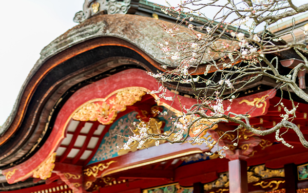 {期間限定}冬戀九州熊本~玩雪採草莓+三大蟹溫泉仙境五日(JX)