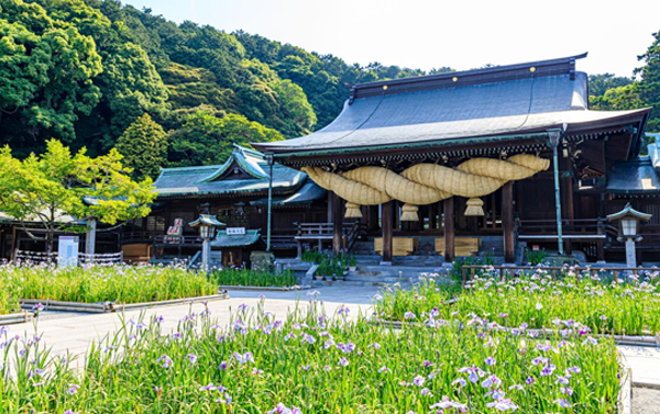 【地中海郵輪假期-榮耀號】尋櫻自主遊6天