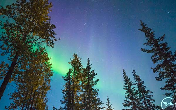 極星高照~溫哥華.西雅圖.黃刀鎮三晚~夢幻極光10天(BR)