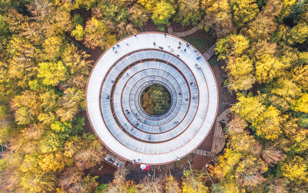 北歐三國 森林螺旋塔.挪威峽灣樂遊10天