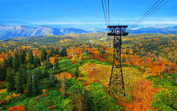 雪山黑岳纜車賞楓6日(VZ)函館百萬夜景+洞爺湖花火節+三大蟹和牛水酒無限暢飲