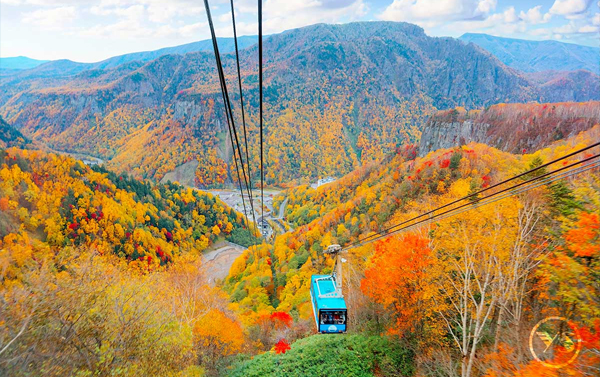 9/23【北海道賞楓】5日(FD)大雪山黑岳纜車+洞爺湖花火節
