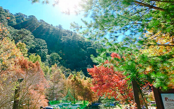 武陵雪霸國家公園豐富二日遊(4人成行聯營團體)