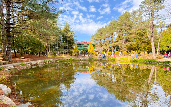 中橫美景~梨山武陵福壽山二日(聯營團體)