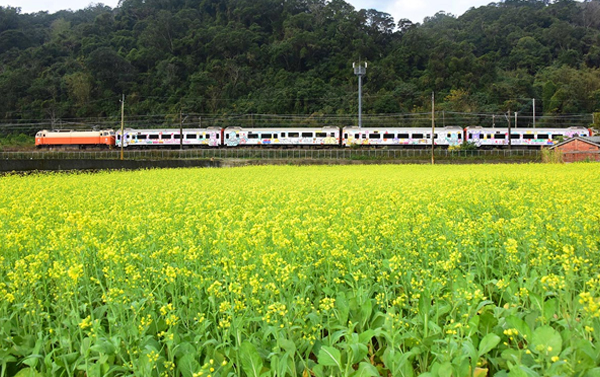 環島之星台東．紅葉谷溫泉+南迴藝術季+多良車站、知本飯店渡假輕鬆3天(二人成行)
