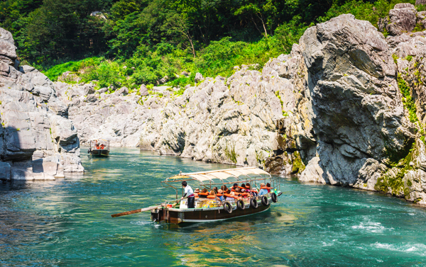 桜の呼吸四國賞櫻百選‧鉱山小火車‧淘金體驗‧秘境祖谷溪‧雙纜車5日(JX)