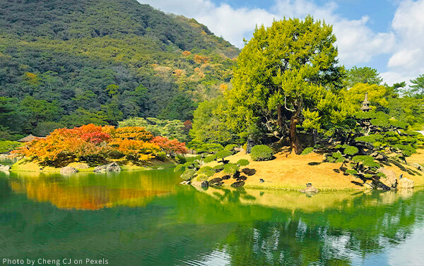 四國紅葉漫遊・道後溫泉×小豆島祕境米其林景點5日(JX)