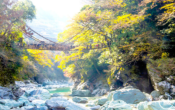 日本四國高松道後溫泉+小豆島五日 (全包餐)_台中出發(JX)