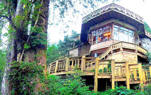 宜蘭太平山棲蘭神木園區馬告森呼吸二日遊(4人成行~聯營團體)