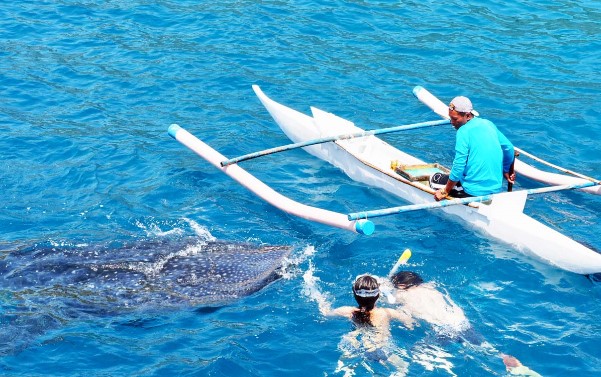 菲常鯨喜4日(6人成行)~海洋公園+海底隧道、資生堂&海洋生態區浮潛、SUP潟湖體驗、鯨鯊共游、網紅海景美食
