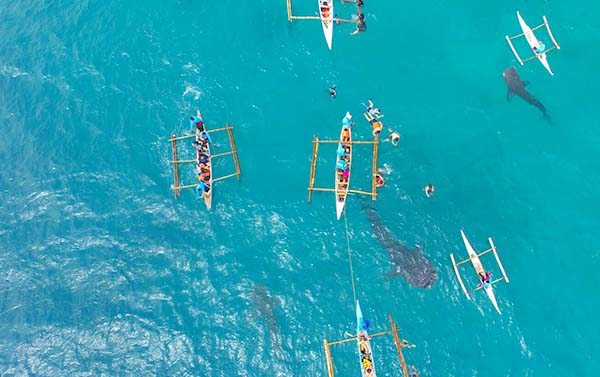 宿霧~鯨喜一夏5日(六人成行)資生堂&尹魯東葛島雙島浮潛、歐斯陸鯨鯊共游、渡假村自助午餐、立槳SUP、贈送芒果雪花冰