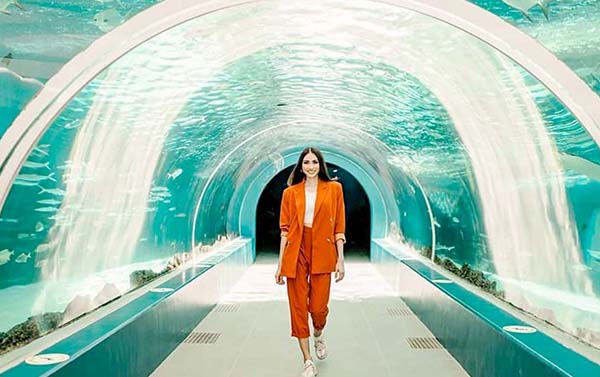 鯨喜樂翻天5日(6人成行)~海洋公園+海底隧道、資生堂島&海洋生態區浮潛、鯨鯊共游(含快速通關)、無自理餐
