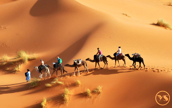 【特選摩洛哥】撒哈拉、四大皇城、聖羅蘭祕密花園11天-EK
