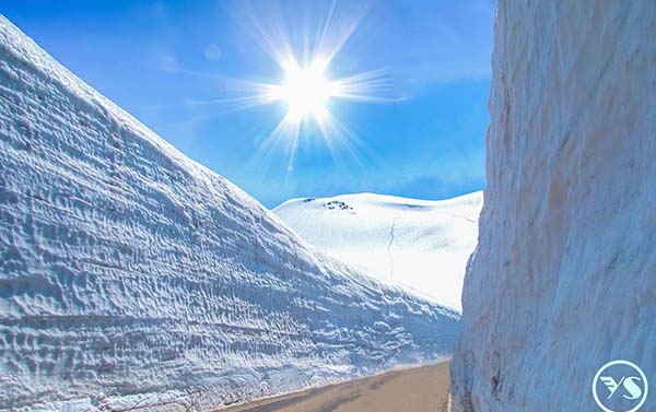 名古屋立山黑部雪牆x上高地秘境x名花點燈嘉年華五日(CX)