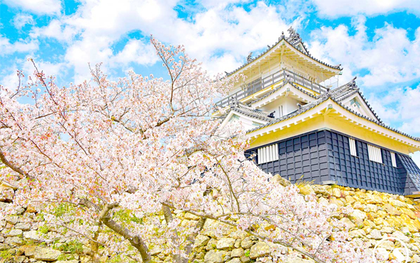 4/3【名古屋靜岡浪漫花海賞櫻】5日(JX)雙樂園+當季採果