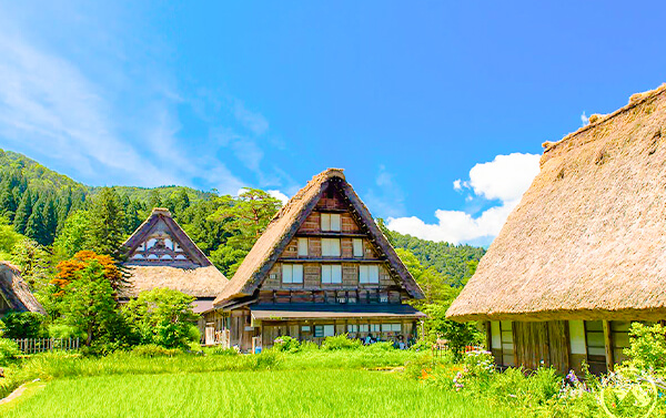 東京六日_台中出發(JX)川越小江戶風華×輕井澤浪漫大道×立山黑部