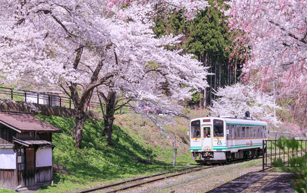 東北櫻花百選名所.浪漫會津鐵道.藏王纜車溫泉美食5日(JX)