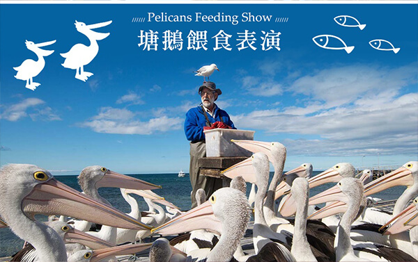 紐澳假期~繽紛黃金海岸6日(擁抱無尾熊、酒莊品酒、豪華遊艇、大嘴鳥餵食、海港城購物趣、夜間巿集)