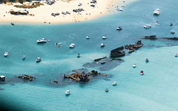 《紐澳假期》黃金海岸歡樂鬧不完7日(BR)