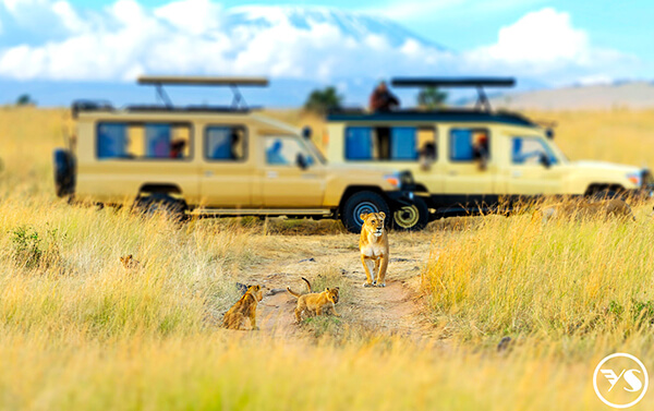 肯亞 維多利亞瀑布 三國 遊獵經典11天(KQ)