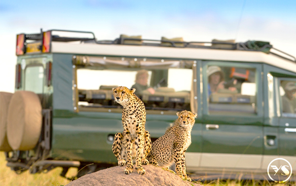夢想啟航～東非五國17天 非洲大草原 維多利亞瀑布、肯亞、坦尚尼亞、辛巴威、尚比亞、波札那