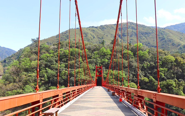 生態遊程精選~走讀巨木下的泰雅原鄉2天1夜拉拉山社區小旅行
