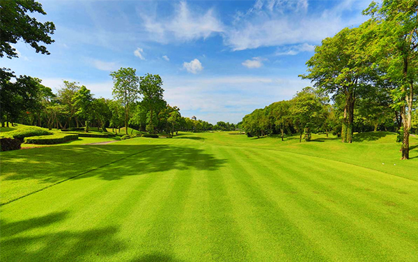 FUN趣泰北~天生高手5日(4 人成行)
