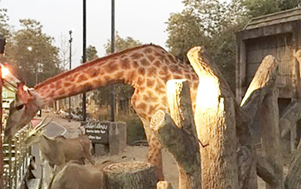 FUN趣泰北~親子樂翻天6日(4人成行)