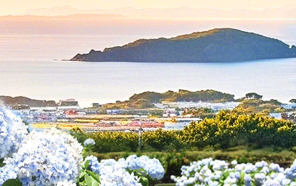 【買一送一】苦盡柑來遊濟州5日 - 松堂童話村.山茶花之丘.城山日出峰. 馬主題秀(不走人蔘保肝)