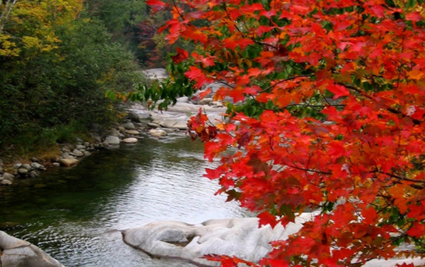 《3/31前付訂金 第2人扣7千(限全程)》玩美加族～美加東全覽13天-YYZ/JFK