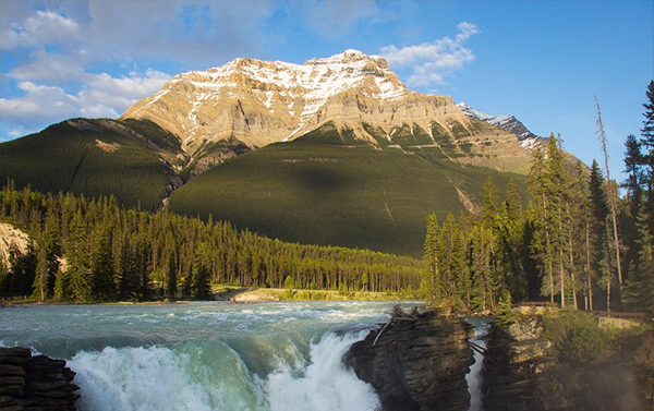 JX美加雙愛西雅圖溫哥華~加拿大洛磯城堡12日(冰原雪車.天空玻璃步道.五大國家公園.露易絲湖.維多利亞港灣.太空針塔)