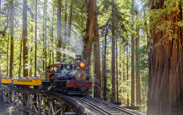 【華麗美洲】美西旅遊大峽谷天空步道纜車酒莊紅木森林蒸汽火車舊金山聖塔莫尼卡10天