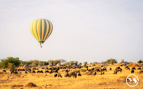 夢想啟航~ 肯亞遊獵探險10日(QR)