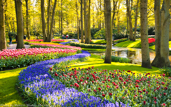 【新花怒放荷比法】10天(SQ)庫肯霍夫、雙博物館、雙百年餐廳