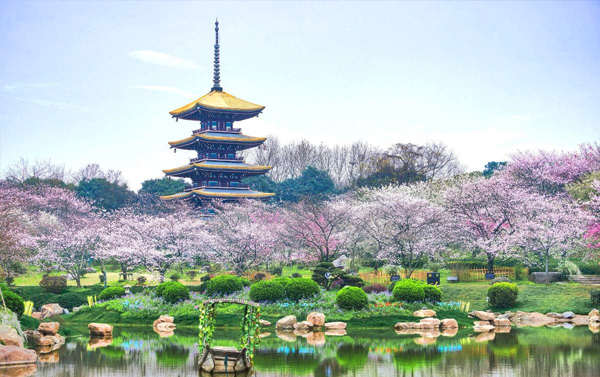 武漢盛世花海巡禮、船遊夢裡水鄉、襄陽古城風情８日(自由行)
