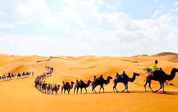 內蒙古希拉穆仁大草原、沙漠迪士尼響沙灣、老牛灣黃河大峽谷、成吉思汗陵８日(自由行)
