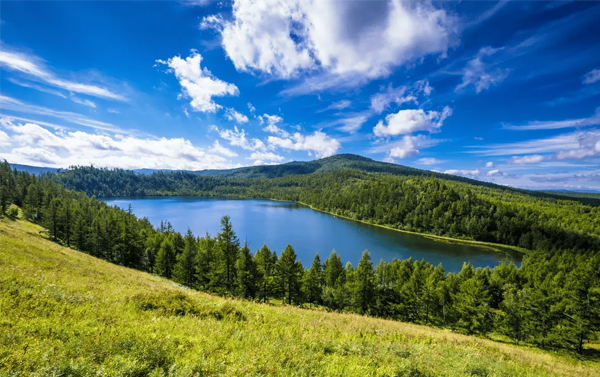 內蒙古金秋樂章、阿爾山國家森林公園、呼倫貝爾草原、滿洲里夜景三排座11日(自由行)