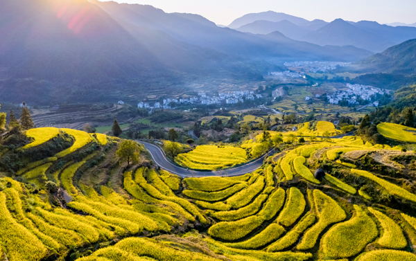 【花海篁嶺】８日自由行(CA)世界遺產龍虎山、廬山、千年瓷都景德鎮