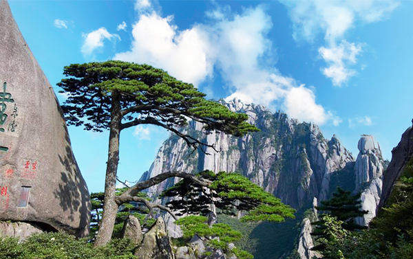 黃山四絕、馬嶺天觀佛手橋、魔毯雲梯、西遞古村6日(自由行)
