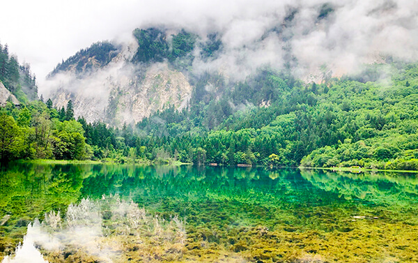 九寨溝一段高鐵、牟尼溝、黃龍景區、樂山大佛、熊貓樂園三排座８日(自由行)